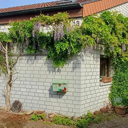 Geschmackvolles In Steinhude *